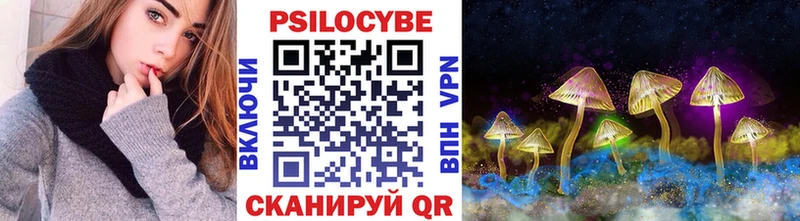 Купить где  Мостовской  Псилоцибиновые грибы Magic Shrooms 